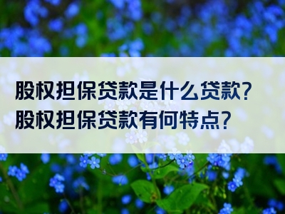 股权担保贷款是什么贷款？股权担保贷款有何特点？