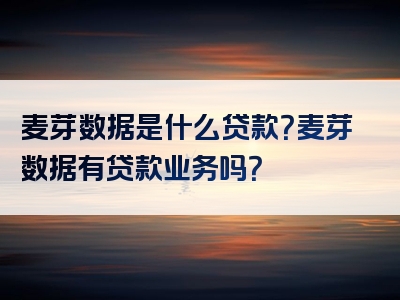 麦芽数据是什么贷款？麦芽数据有贷款业务吗？