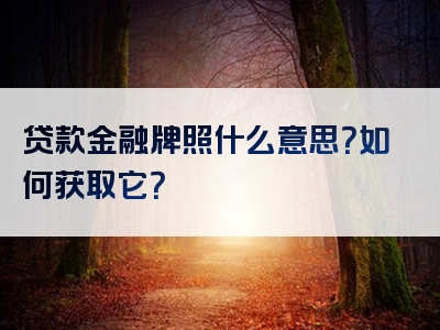 贷款金融牌照什么意思？如何获取它？