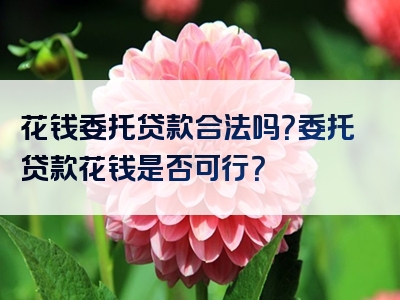 花钱委托贷款合法吗？委托贷款花钱是否可行？