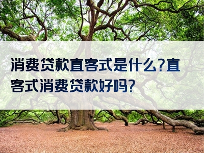 消费贷款直客式是什么？直客式消费贷款好吗？