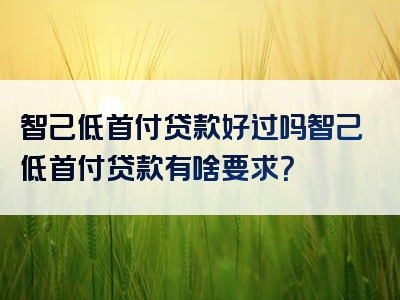 智己低首付贷款好过吗智己低首付贷款有啥要求？