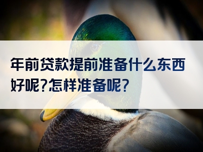 年前贷款提前准备什么东西好呢？怎样准备呢？