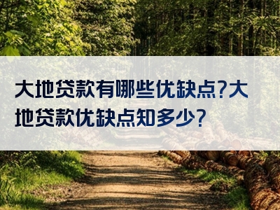 大地贷款有哪些优缺点？大地贷款优缺点知多少？