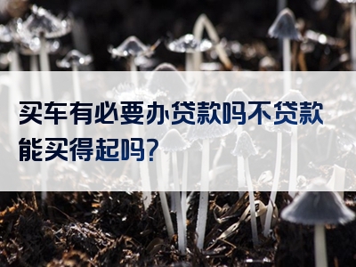 买车有必要办贷款吗不贷款能买得起吗？