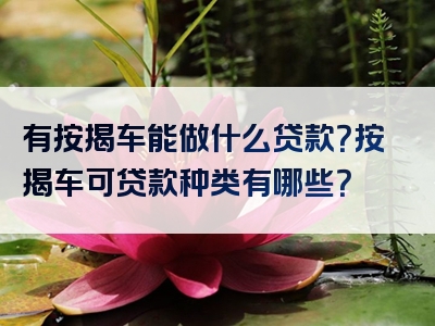 有按揭车能做什么贷款？按揭车可贷款种类有哪些？