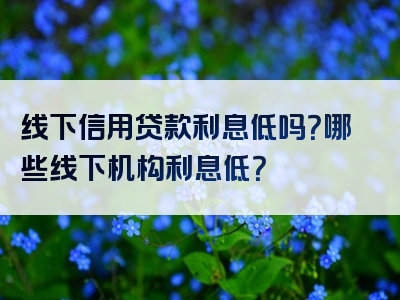 线下信用贷款利息低吗？哪些线下机构利息低？