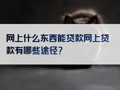 网上什么东西能贷款网上贷款有哪些途径？