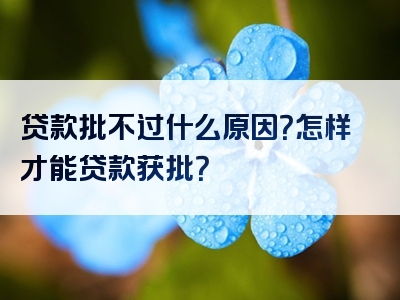 贷款批不过什么原因？怎样才能贷款获批？