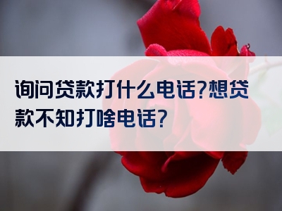 询问贷款打什么电话？想贷款不知打啥电话？