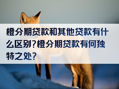 橙分期贷款和其他贷款有什么区别？橙分期贷款有何独特之处？