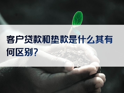 客户贷款和垫款是什么其有何区别？