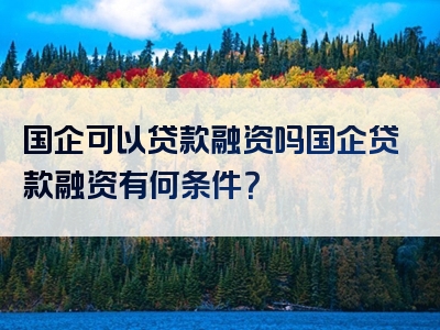 国企可以贷款融资吗国企贷款融资有何条件？