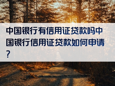 中国银行有信用证贷款吗中国银行信用证贷款如何申请？