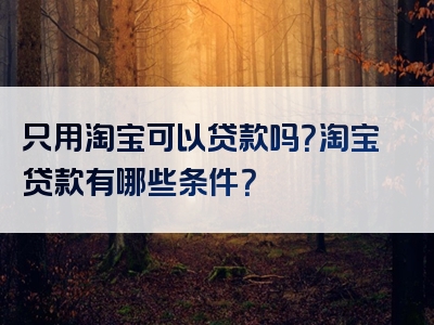 只用淘宝可以贷款吗？淘宝贷款有哪些条件？