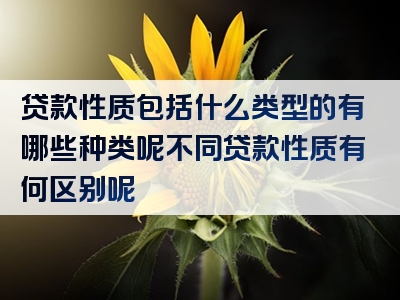 贷款性质包括什么类型的有哪些种类呢不同贷款性质有何区别呢