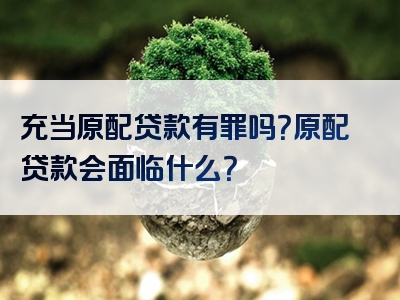 充当原配贷款有罪吗？原配贷款会面临什么？