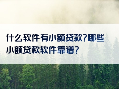 什么软件有小额贷款？哪些小额贷款软件靠谱？