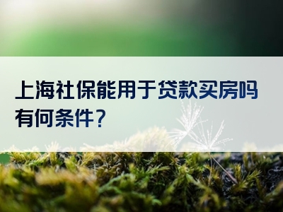 上海社保能用于贷款买房吗有何条件？