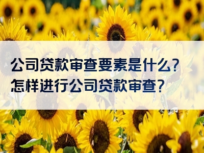 公司贷款审查要素是什么？怎样进行公司贷款审查？