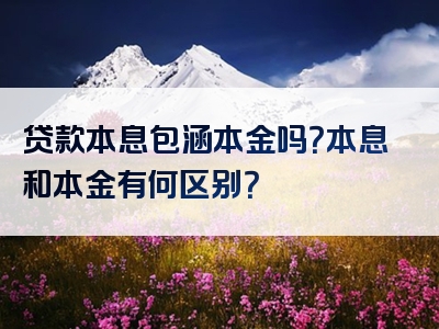 贷款本息包涵本金吗？本息和本金有何区别？