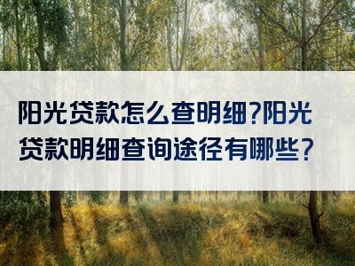 阳光贷款怎么查明细？阳光贷款明细查询途径有哪些？