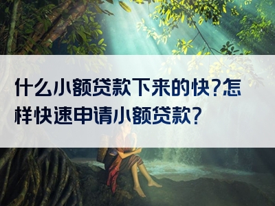 什么小额贷款下来的快？怎样快速申请小额贷款？