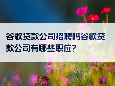 谷歌贷款公司招聘吗谷歌贷款公司有哪些职位？