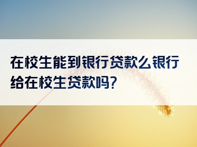 在校生能到银行贷款么银行给在校生贷款吗？