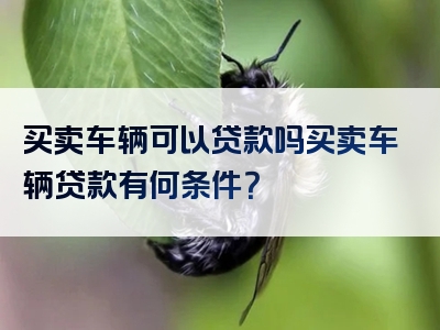 买卖车辆可以贷款吗买卖车辆贷款有何条件？