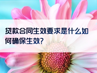 贷款合同生效要求是什么如何确保生效？