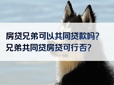 房贷兄弟可以共同贷款吗？兄弟共同贷房贷可行否？