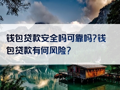 钱包贷款安全吗可靠吗？钱包贷款有何风险？