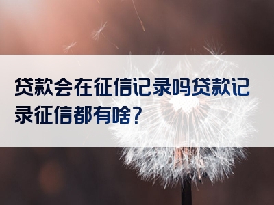 贷款会在征信记录吗贷款记录征信都有啥？