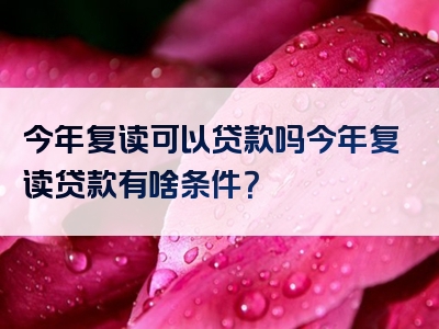 今年复读可以贷款吗今年复读贷款有啥条件？