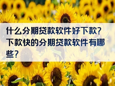 什么分期贷款软件好下款？下款快的分期贷款软件有哪些？