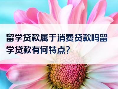 留学贷款属于消费贷款吗留学贷款有何特点？