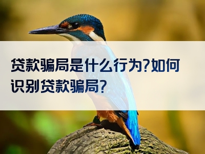 贷款骗局是什么行为？如何识别贷款骗局？