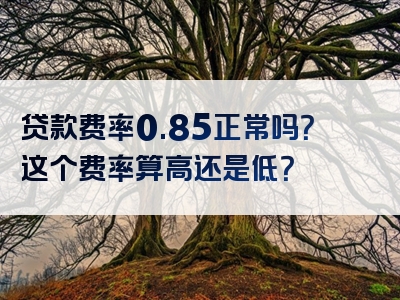 贷款费率0.85正常吗？这个费率算高还是低？