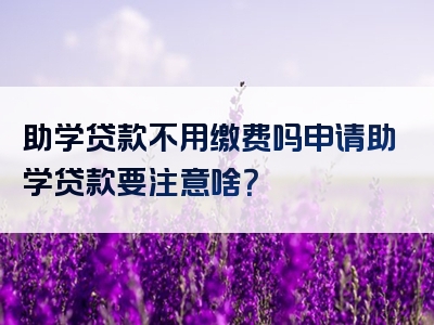 助学贷款不用缴费吗申请助学贷款要注意啥？