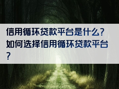 信用循环贷款平台是什么？如何选择信用循环贷款平台？