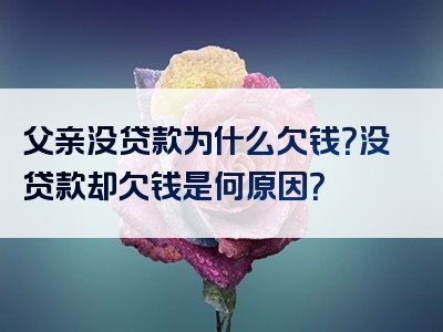 父亲没贷款为什么欠钱？没贷款却欠钱是何原因？