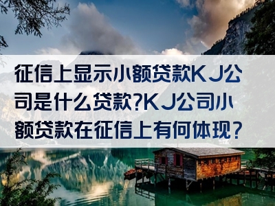 征信上显示小额贷款KJ公司是什么贷款？KJ公司小额贷款在征信上有何体现？