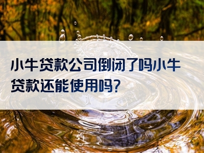 小牛贷款公司倒闭了吗小牛贷款还能使用吗？