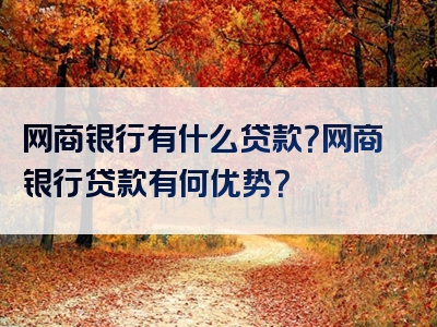 网商银行有什么贷款？网商银行贷款有何优势？