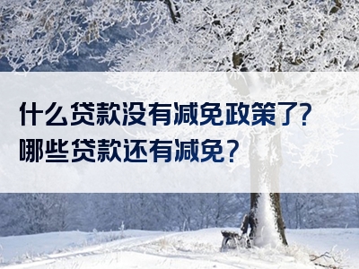 什么贷款没有减免政策了？哪些贷款还有减免？