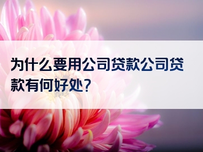 为什么要用公司贷款公司贷款有何好处？