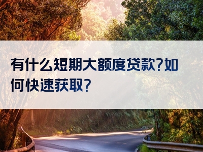 有什么短期大额度贷款？如何快速获取？