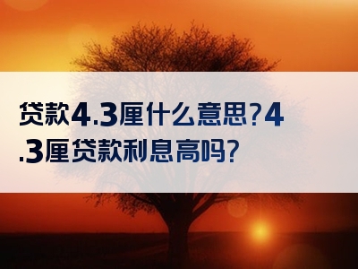 贷款4.3厘什么意思？4.3厘贷款利息高吗？