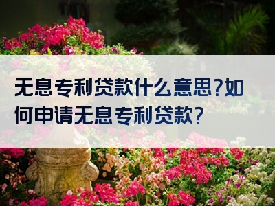 无息专利贷款什么意思？如何申请无息专利贷款？